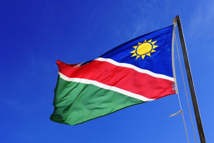 Adolf Hitler Namibiyada keçirilən regional seçkilərdə qalib gəldi