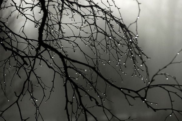 Noyabrın son gününün havası açıqlanıb