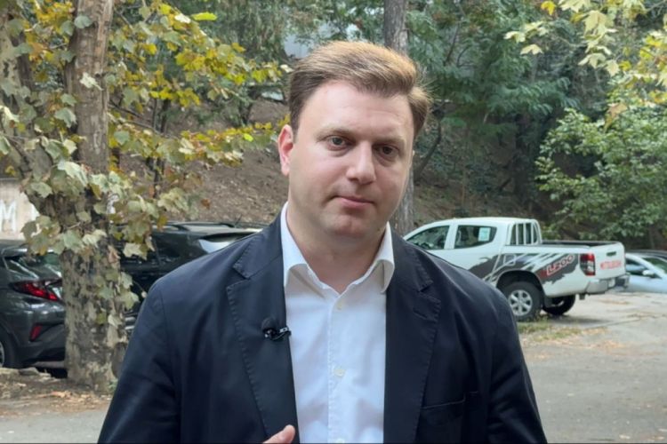 Gürcüstanda yeni siyasi partiya təsis edilib