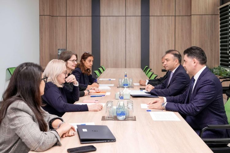Nazirlikdə Dünya Bankının nümayəndələri ilə görüş olub - FOTO