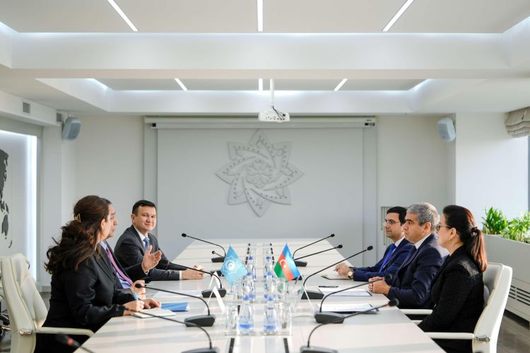 Nazirlikdə TDT Baş katibi və Vedat İşıkhanla görüşlər olub