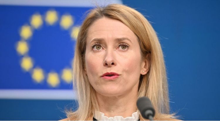 Kallas Aİ-ni sarsıdan hadisədən danışdı