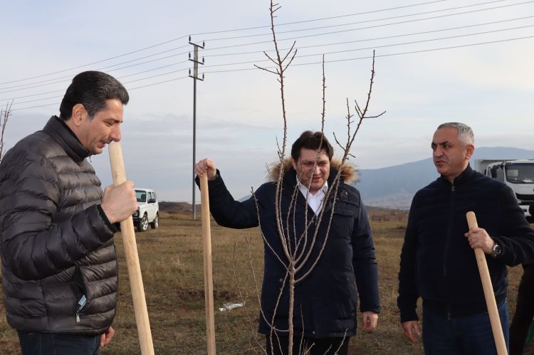 Xocalıda Heydər Əliyevin anım günü münasibətilə ağacəkmə aksiyası keçirilib - FOTO