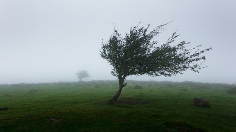 Sabahdan havanın temperaturu 5-7 dərəcə enəcək - Xəbərdarlıq