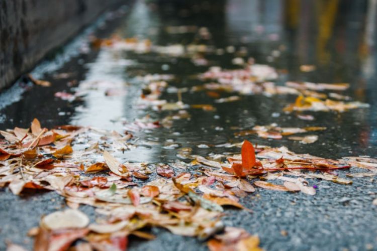 Sabah leysan yağacaq, yolların buz bağlaması gözlənilir -  XƏBƏRDARLIQ