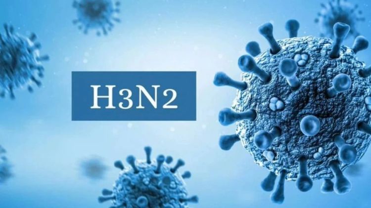 Yeni ştam Avropada səhiyyə sisteminə ciddi təzyiq göstərir - ÜST