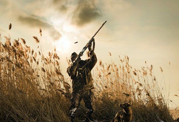 Sabahdan Azərbaycanda ov mövsümü açılır