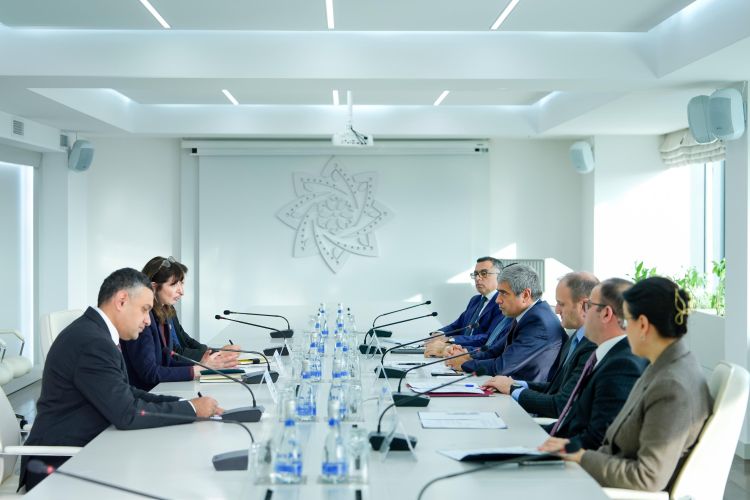 Nazirlikdə BMT-nin Azərbaycandakı rezident əlaqələndiricisi ilə görüş olub