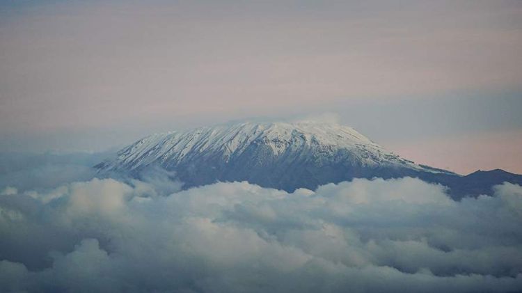 Tanzaniyanın Kilimancaro dağında vertolyot qəzası nəticəsində beş nəfər həlak olub