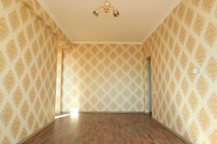 Başqasının evində yaşayan neçə məcburi köçkün azad edilən ərazilərə köçürülüb?