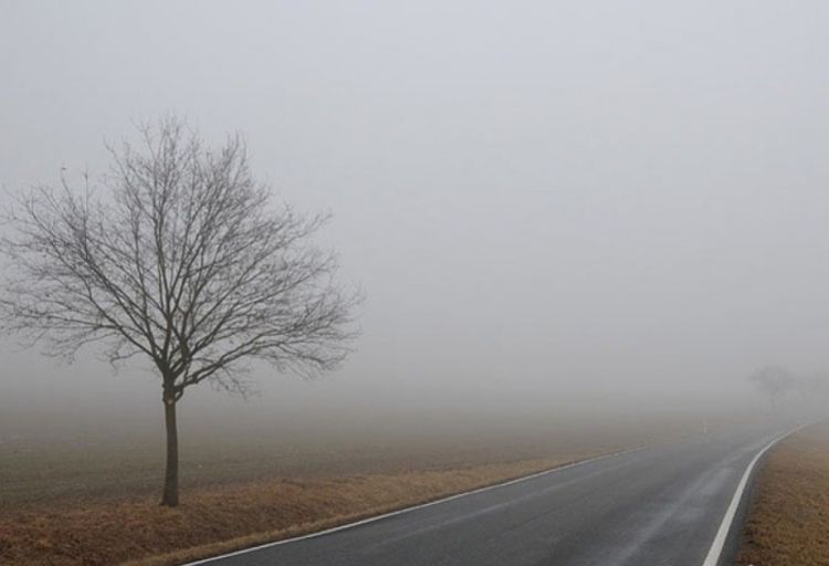 Sabahın havası açıqlanıb
