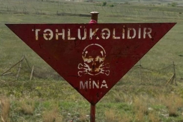 Azad edilmiş ərazilərdə ötən il 6 824 mina, 52 392 PHS aşkarlanıb