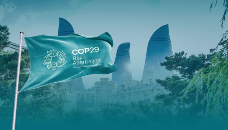 COP29 Azərbaycan Əməliyyat Şirkəti ləğv edilib