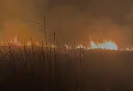 Füzuli və Cəbrayıl rayonları ərazisində güclü yanğın başlayıb - VİDEO