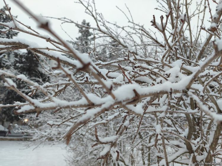 Dağlıq ərazilərdə qar yağır -  FAKTİKİ HAVA