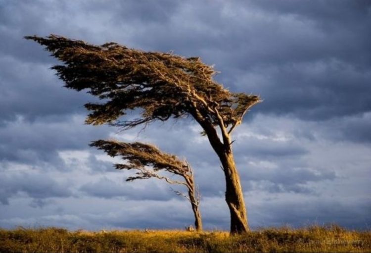 FHN küləkli hava ilə əlaqədar əhaliyə müraciət edib