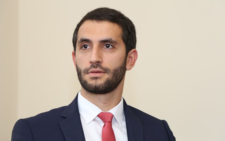 Erməni vitse-spiker Solovyovu “it” adlandırıb