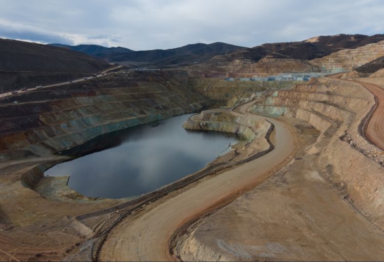 İlham Əliyev “Dəmirli” Filiz Emalı Kompleksinin fəaliyyəti ilə tanış olub