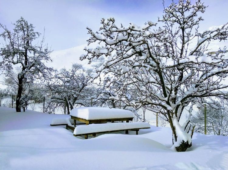 Gecə ən çox qar Zaqatalaya yağıb - Faktiki hava