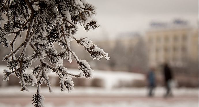 Bakıda 3 dərəcə şaxta olacaq