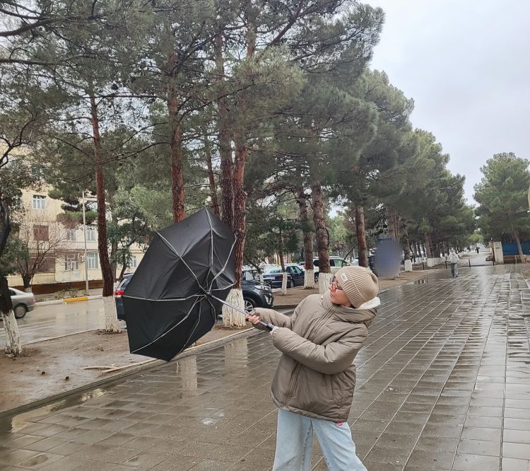 Sabah güclü külək əsəcək - Xəbərdarlıq