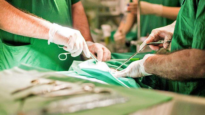 10-a yaxın meyitdən 50-dən çox transplantasiya həyata keçirilib