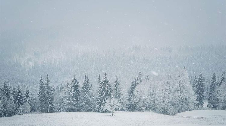 Ukraynalı ölkədən qaçmağa çalışıb və dağlarda azıb