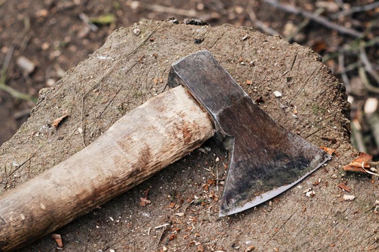 Cəlilabadda əmi qardaşı uşaqlarını baltalayıb