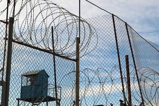 İndiyədək neçə nəfərə amnistiya tətbiq edilib?