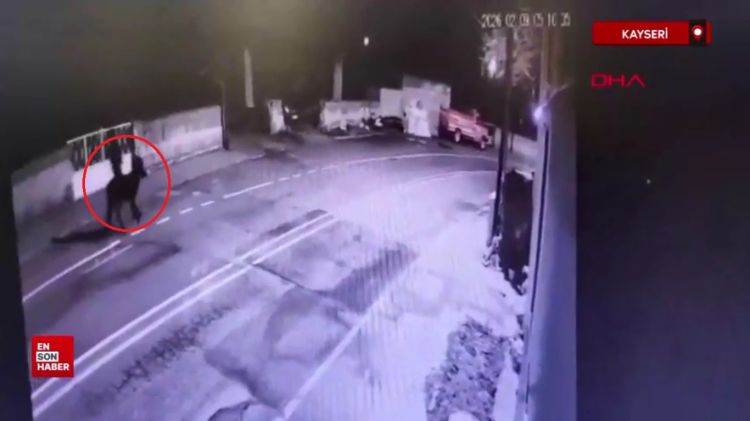 Film kimi hadisə: Zərgərlik mağazasını qarət edən şəxs eşşəklə qaçdı - FOTO