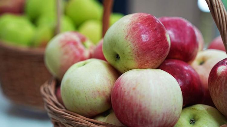 Dietoloq qabıqlı almanın bəzi insanlar üçün zərərli olduğunu qeyd edib