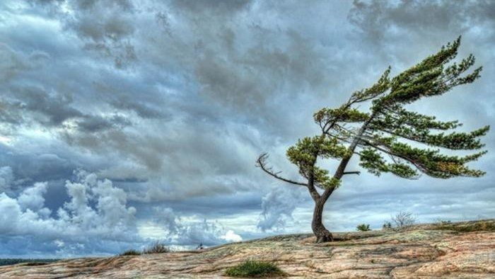 İki gün güclü külək əsəcək -  Narıncı xəbərdarlıq