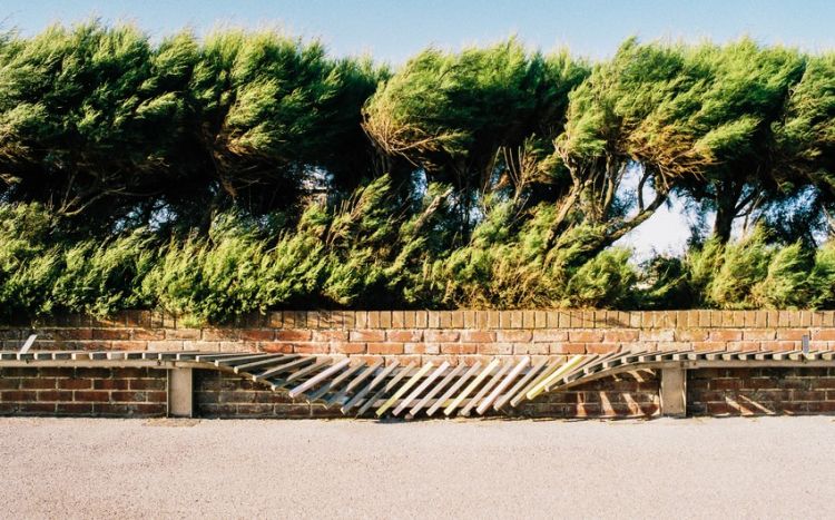 Bakıda və bölgələrdə külək güclənəcək -  Xəbərdarlıq