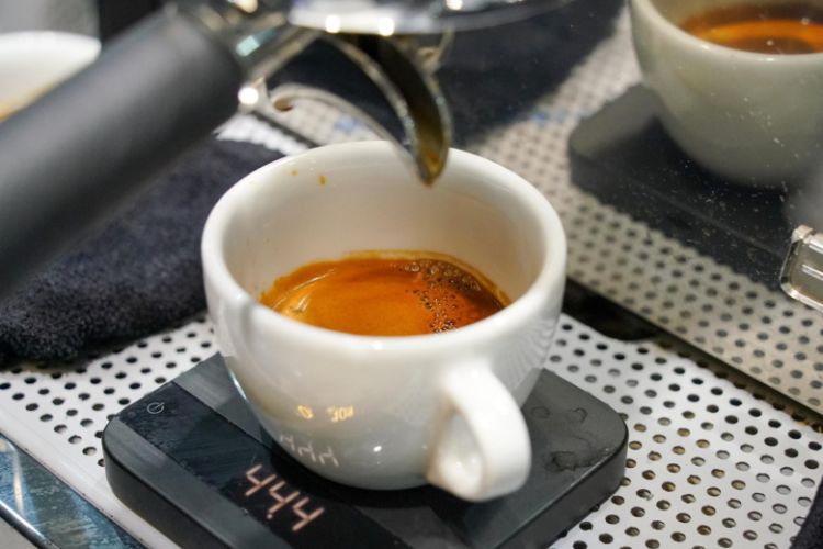 Qəhvə içmək təhlükəli xəstəliklərdən qoruyur