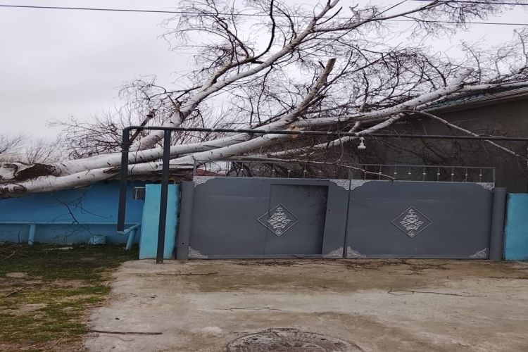 Güclü külək fəsadlar törədib