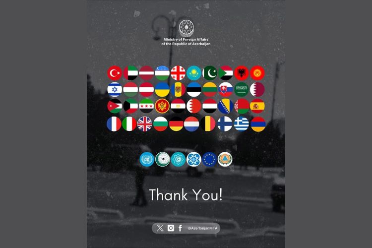 Azərbaycan XİN bu ölkə və təşkilatlara təşəkkür etdi - FOTO