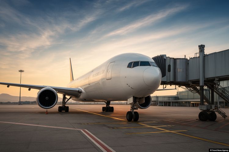 Aviasiya xidmətlərinə görə əlavə ödənişlər tutulacaq: Biletlərin bahalaşması gözlənilir?