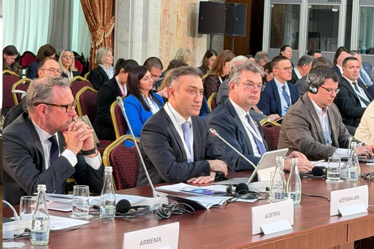 Anar Bayramov Moldovada keçirilən konfransda iştirak edib - FOTO