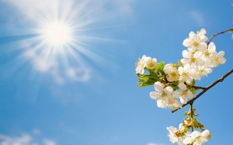 Sabah 20 dərəcə isti olacaq -  PROQNOZ