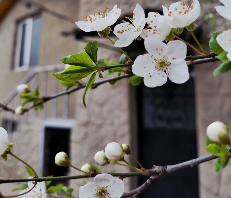 Sabahın HAVA PROQNOZU