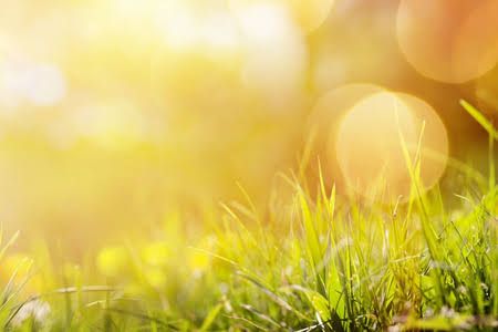 Sabah 20 dərəcə isti olacaq - HAVA PROQNOZU 