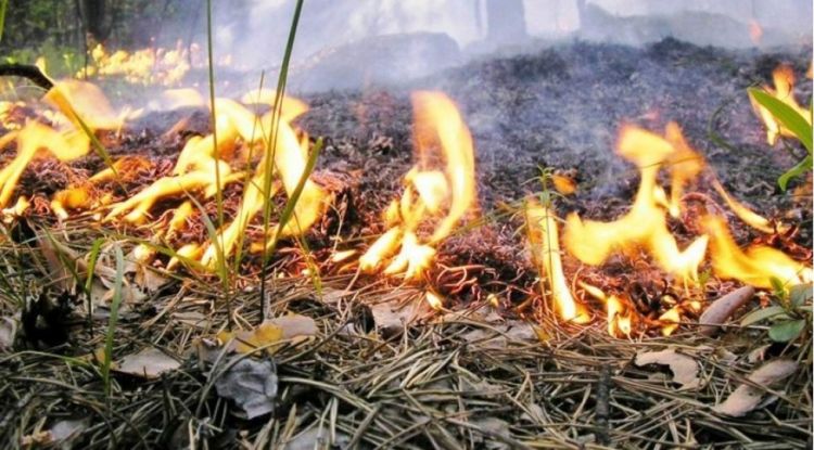 Qəbələdə odun üstünə düşən kişi yanaraq ölüb