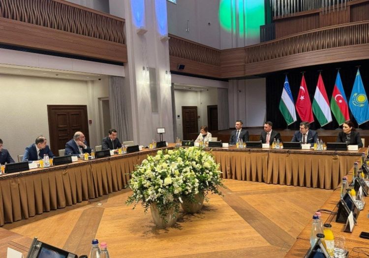 Hikmət Hacıyev TDT ölkələri rəhbərlərinin köməkçilərinin görüşündə iştirak edib