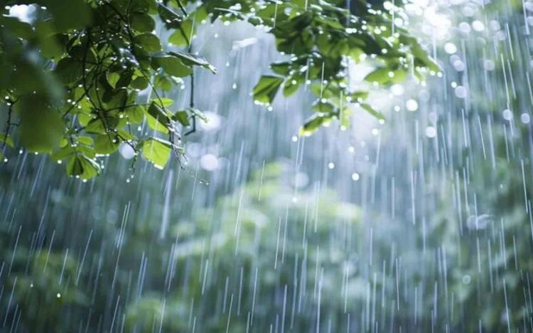 Rayonlara yağış və qar yağacaq - Martın 30-na olan HAVA PROQNOZU 