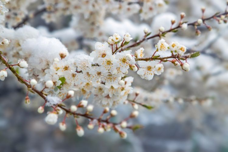 Martın son gününə olan  HAVA PROQNOZU