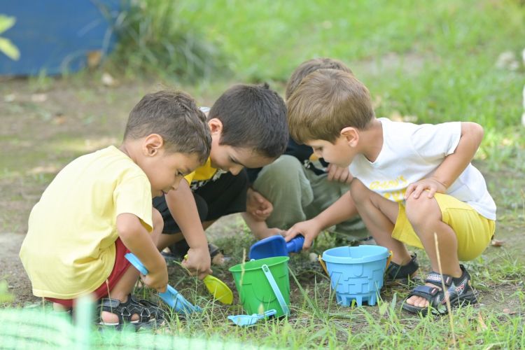 Tovuz rayonunda valideynlər üç övladından imtina edib - Rəsmi