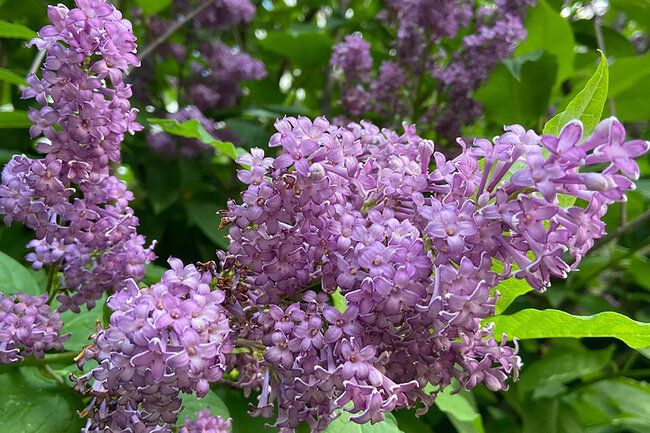 Sabah Bakıda hava yağmursuz olacaq - PROQNOZ