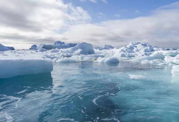 Heç bir xəritədə olmayan ada aşkar edilib