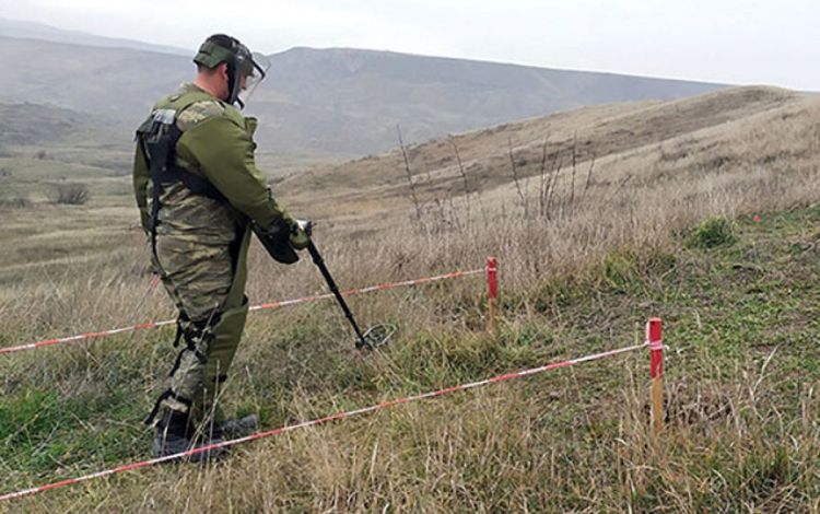 Minatəmizləmə zamanı həlak olanların ailə üzvləri üçün vergi güzəşti müəyyənləşir