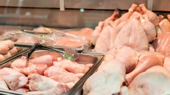Ukraynadan gətirilən toyuq ətində təhlükəli bakteriya aşkarlanıb